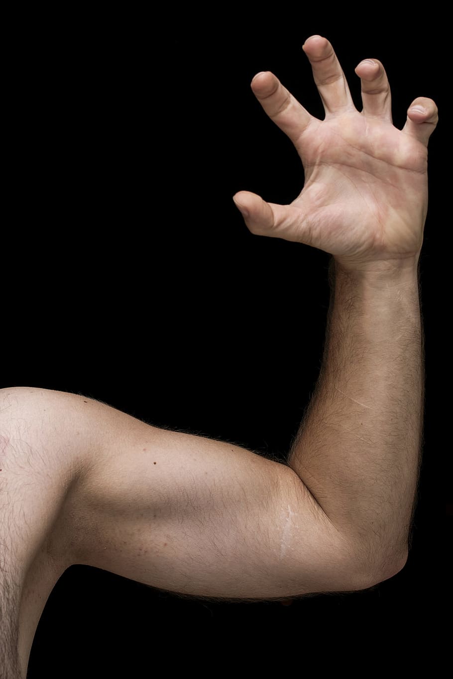 male-arm-nov-pazu.jpg