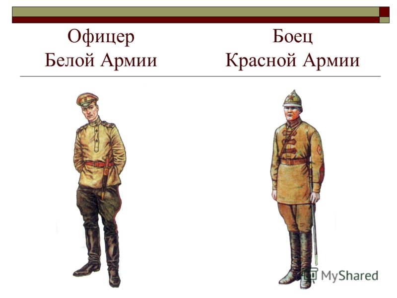 slide_5.jpg