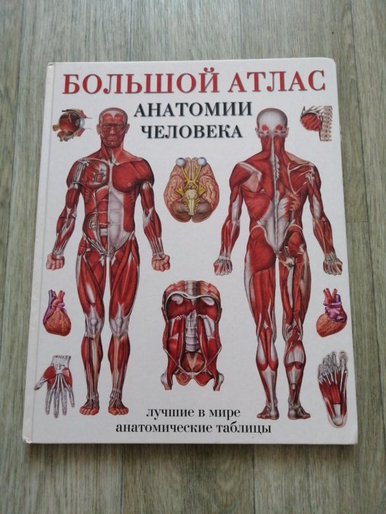 5ee89a931c77cf0a88327850.jpg